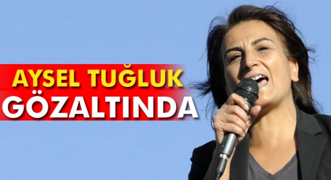 Aysel Tuğluk gözaltına alındı