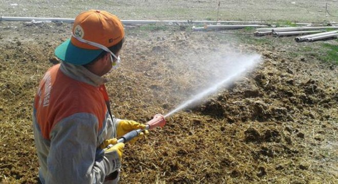 Beypazarı nda ilaçlama başladı