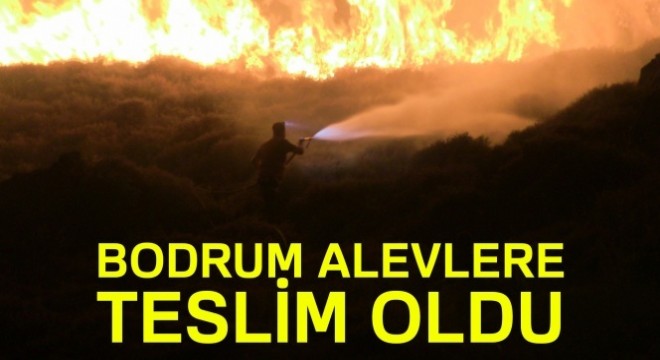 Bodrum alevler teslim oldu: 20 hektarlık sit alanı kül oldu