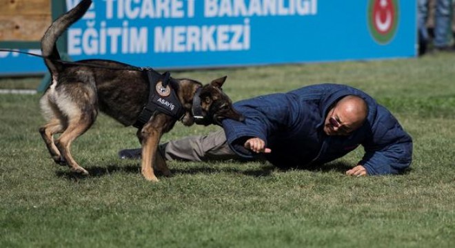 Dedektör köpekler Akyurt’ta yetişecek