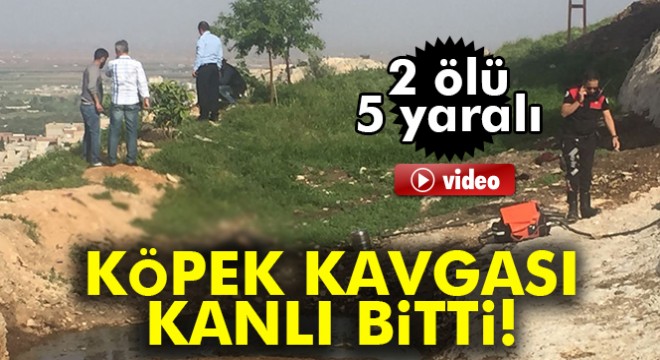 Köpek sahiplenme tartışmasında kan aktı: 2 ölü, 5 yaralı