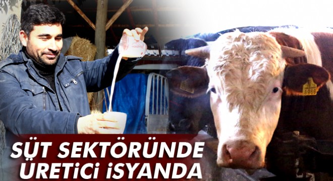 Tartışmaların yaşandığı süt sektöründe üretici isyanda