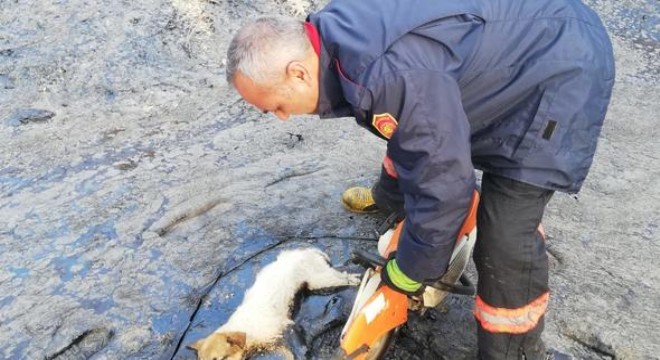 Zemine yapıştılar itfaiye kurtardı