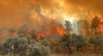 Ege ve Akdeniz’de Orman Yangınları Devam Ediyor