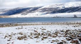 Kars ve Ardahan’da Soğuk Hava Etkili